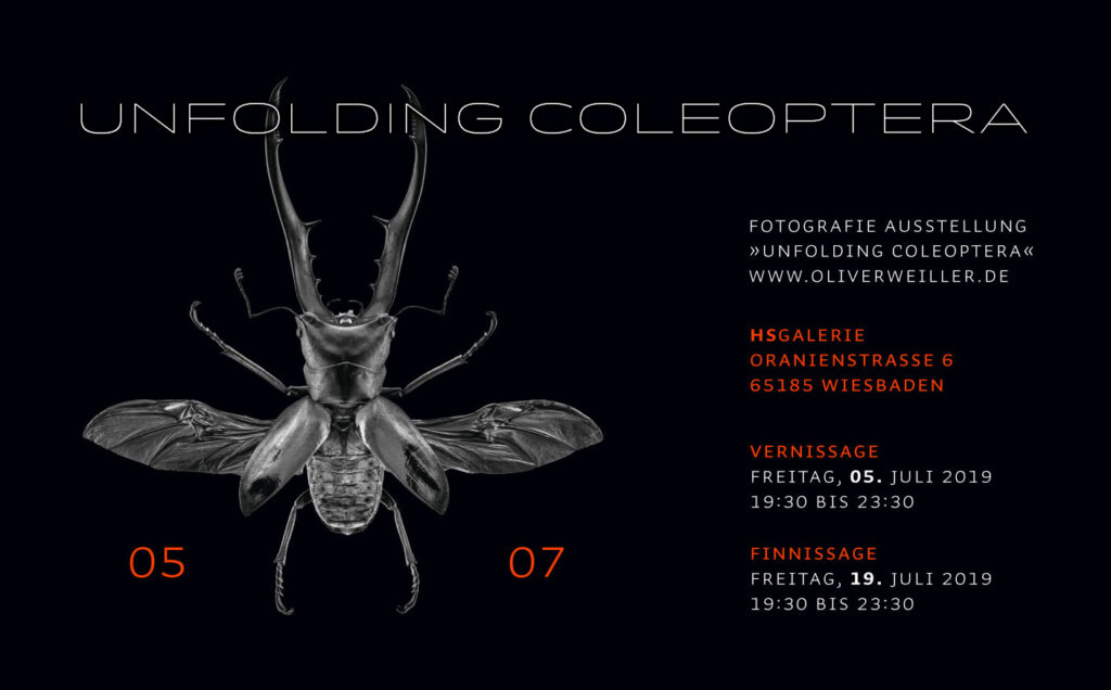 Unfolding Coleoptera Ausstellung
